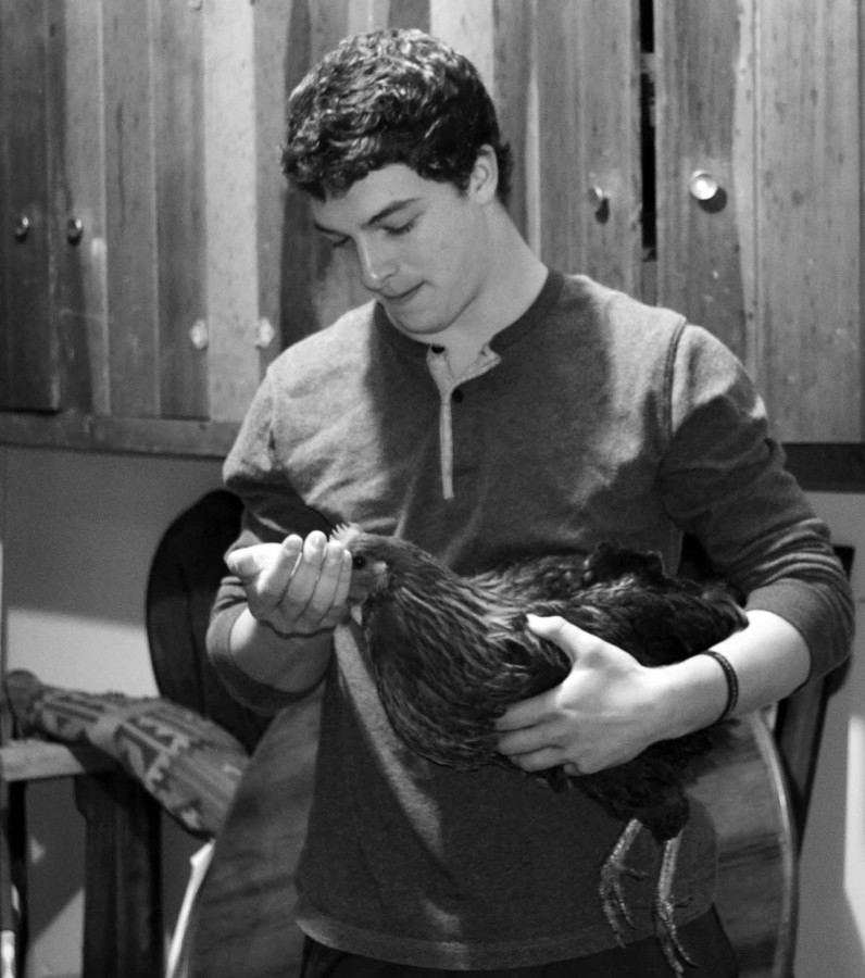 Junior AJ Spitz feeds one of his chickens in his garage. Spitz and his family house two chickens in their backyard in their quest to be 10 percent more organic. Photo by Gabe Weininger. 
