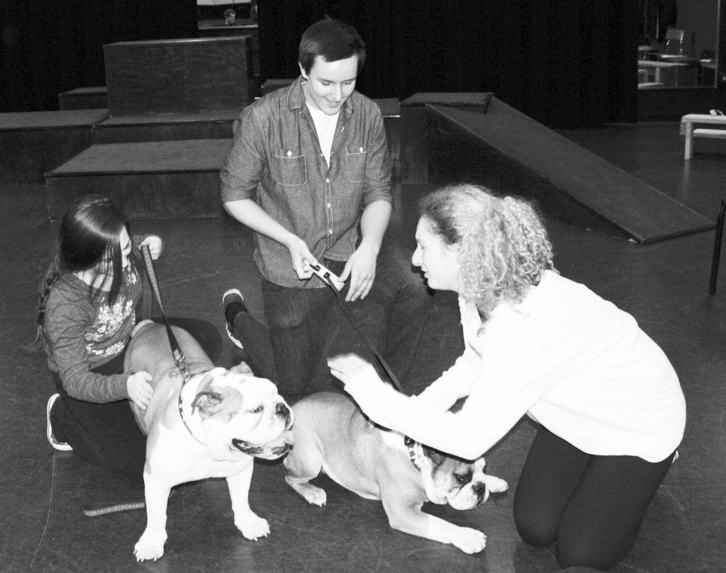 Glenbrook South students Julia Packer (left) and David Sucher (middle) work alongside sophomore Katie Snyder as they practice rehearsing with Mojo (left) and Yoyo. At rehearsal on March 20 all of the actors practiced running through their scenes with the dogs present. Photo by Lauren Sulkowski.