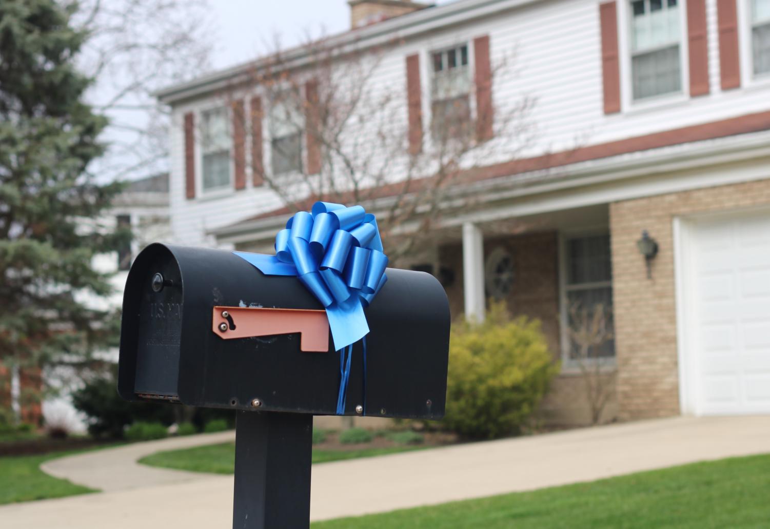 Blue bows in local neighborhoods generate support for