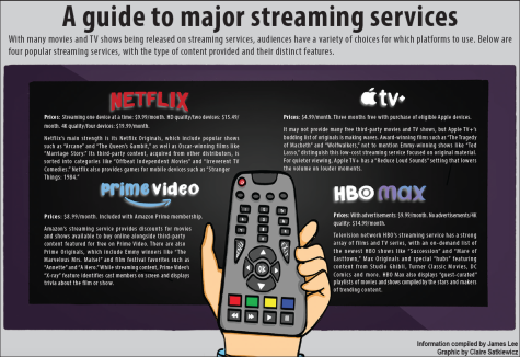 A guide to major streaming services