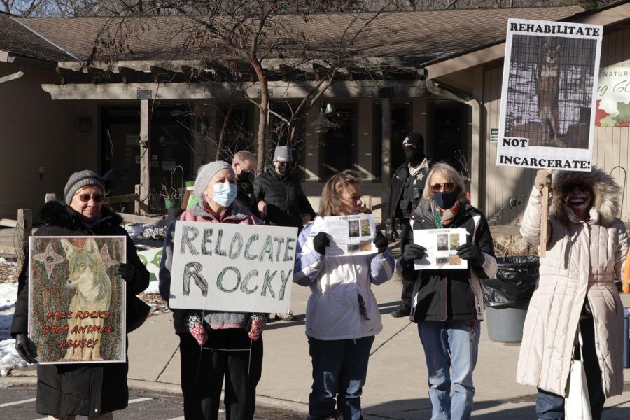 Activists+protest+the+captivity+of+a+coyote+at+the+River+Trail+Nature+Center.+Northbrook+resident+Nicole+Milan+participated+in+the+protest+on+Feb.+13+and+has+advocated+for+the+coyotes+relocation+to+a+sanctuary.+Photo+by+Alex+Garibashvily