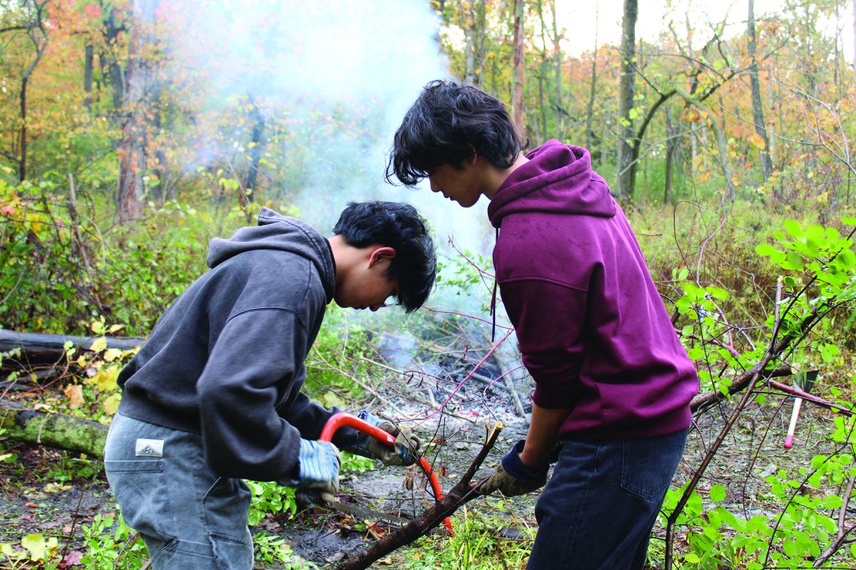 Junior Kumi Wong (left) and senior Aubrey Chiemmongkoltip remove invasive trees at Somme Woods with Protecting our Planet and Water 1st.  Like invasive trees, AI harms the environment through resource consumption.