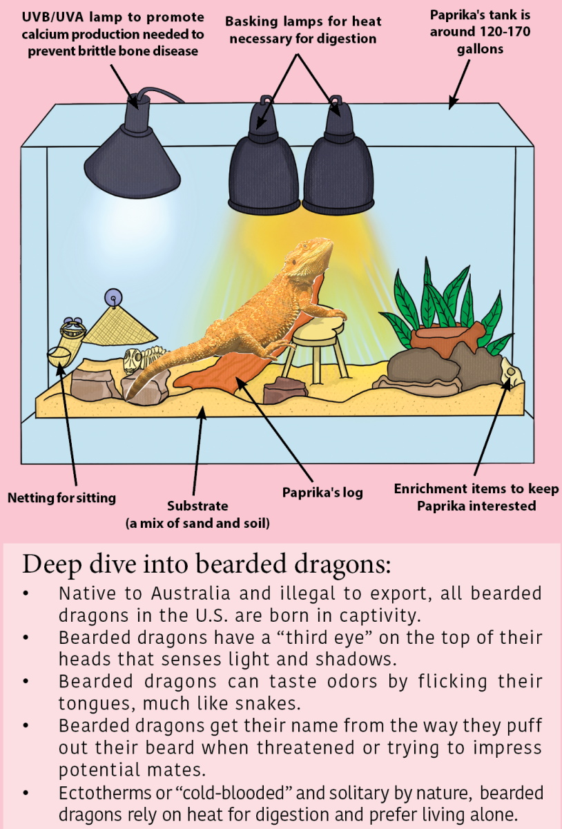 Source: Science teacher Joel Borowicz
Graphics and information compiled by Rafaella Kolesnik