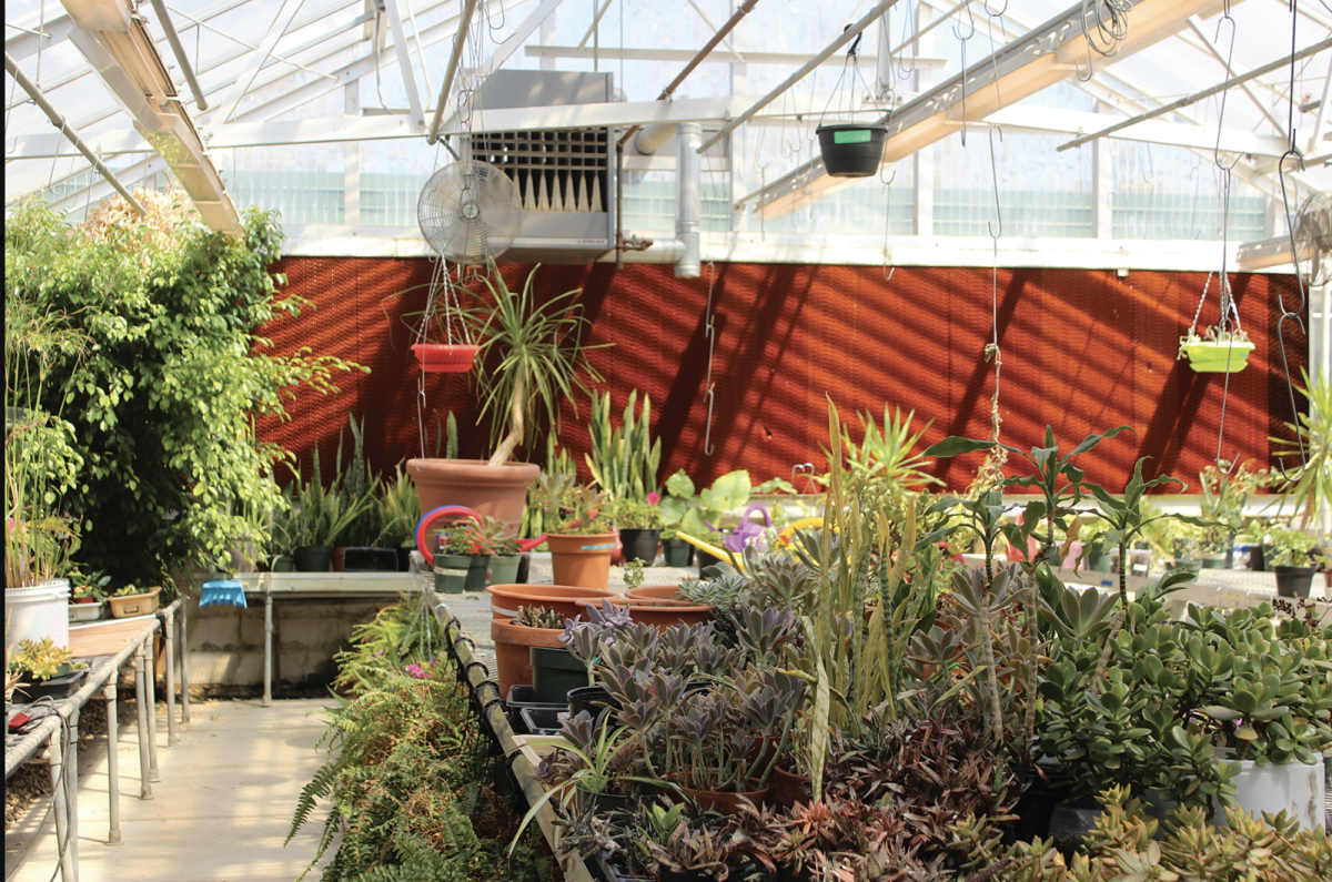 Glenbrook North's greenhouse is part of the plant science class, in which students can learn about gardening and sustainability. Northbrook's Climate Action Day plans to feature organizations educating the community about sustainable practices on May 30 from 10 a.m. to 1 p.m. at the Village Hall.