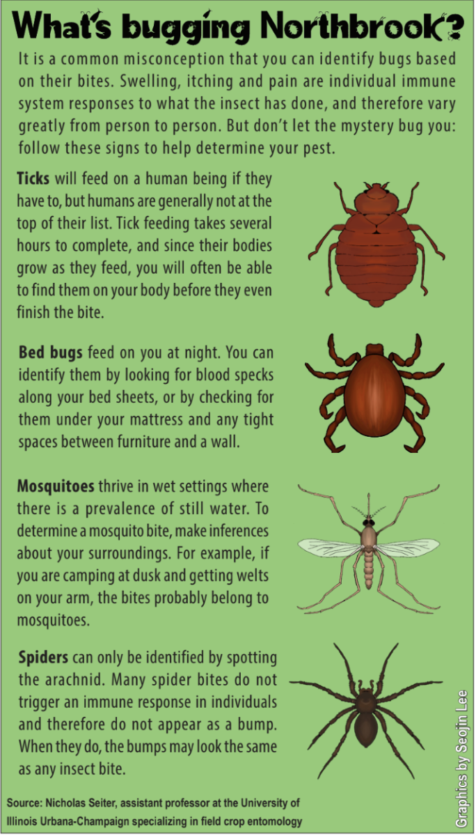 Surge in Midwest bugs makes a buzz